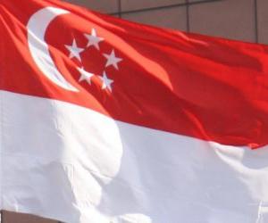 Puzzle Σημαία της Σιγκαπούρης